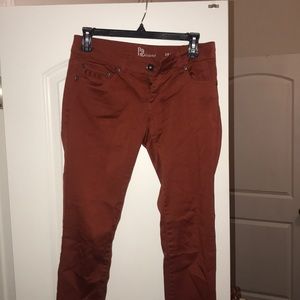 burnt orange pants